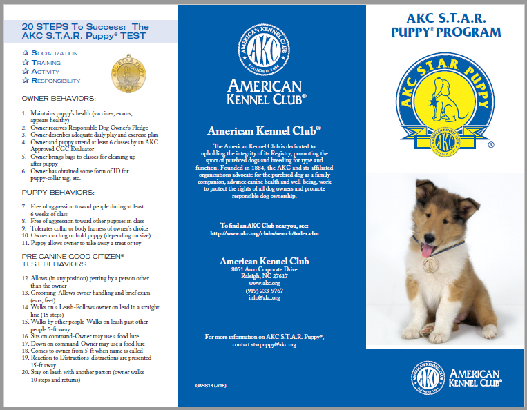AKC STAR Puppy Brochure